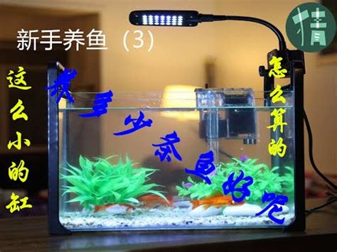 魚缸養幾隻魚|魚缸養多少魚合適，這個公式告訴你，再也不用請教別。